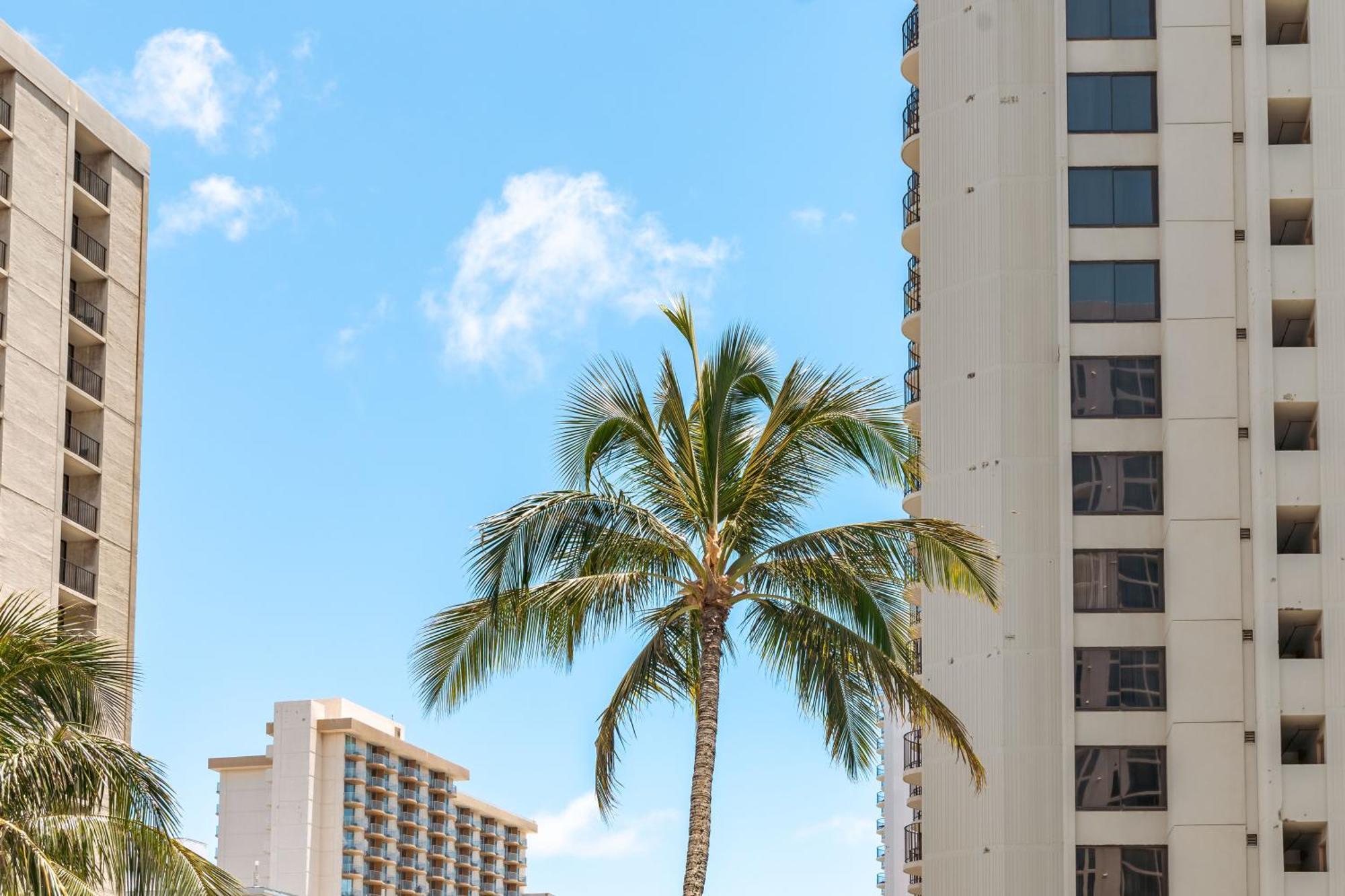 Ocean & Diamond Head Views - Near Beach - Parking! โฮโนลูลู ภายนอก รูปภาพ