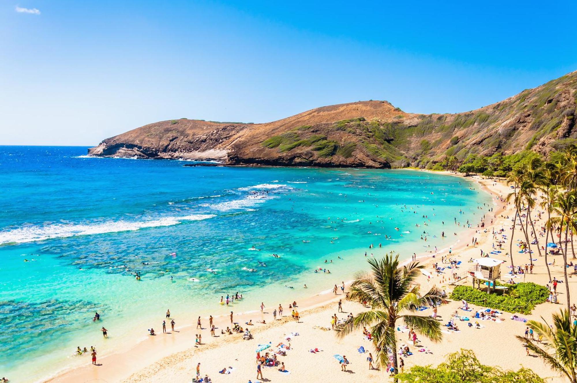 Ocean & Diamond Head Views - Near Beach - Parking! โฮโนลูลู ภายนอก รูปภาพ